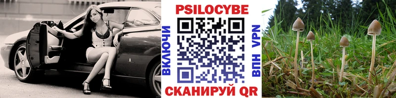 Купить где  Лукоянов  Псилоцибиновые грибы Psilocybine cubensis 
